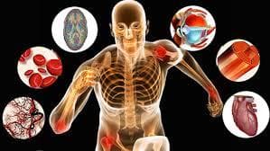Fisiologia Geral