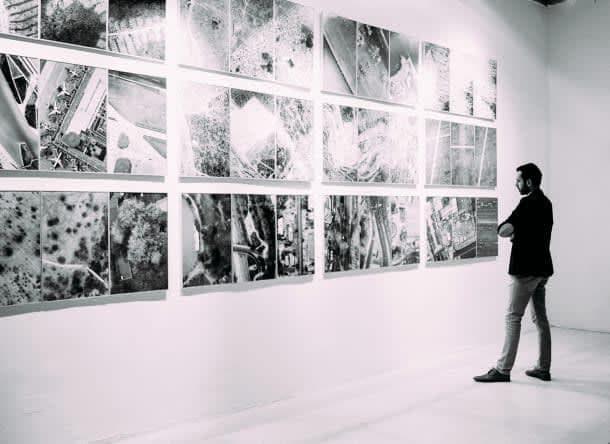 Curador de Artes