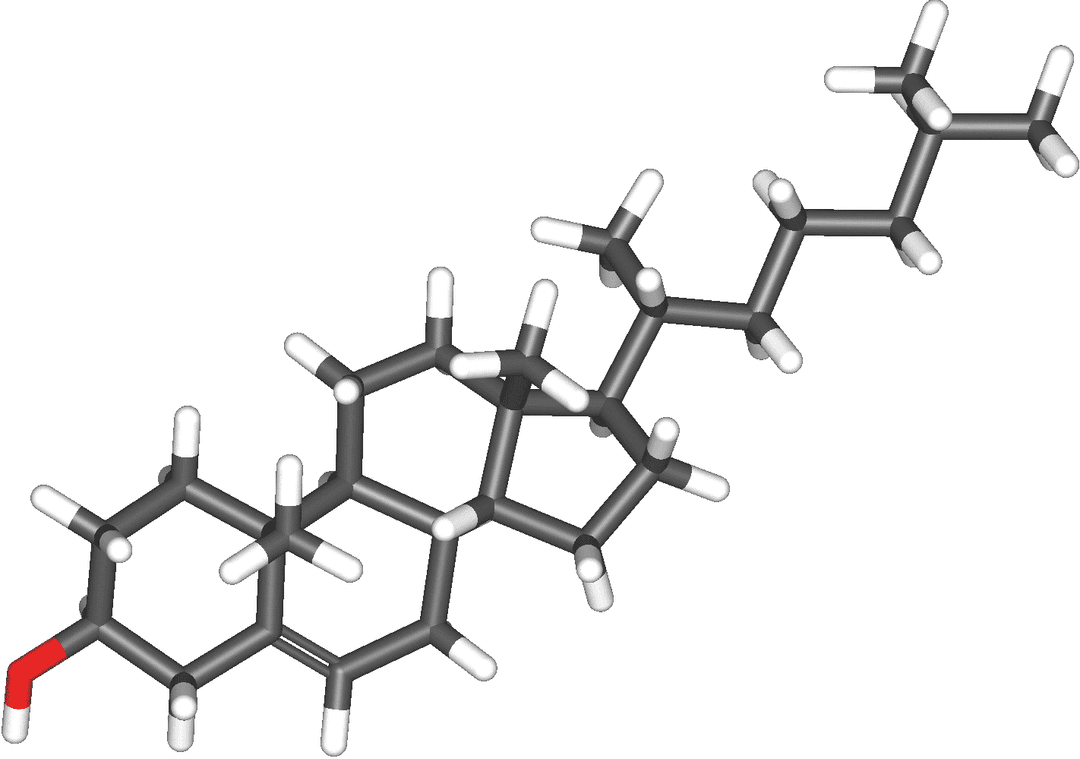Metabolismo Hormonal