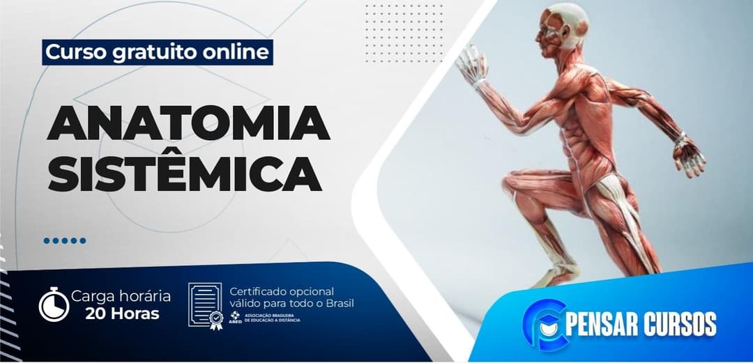 Anatomia Sistêmica