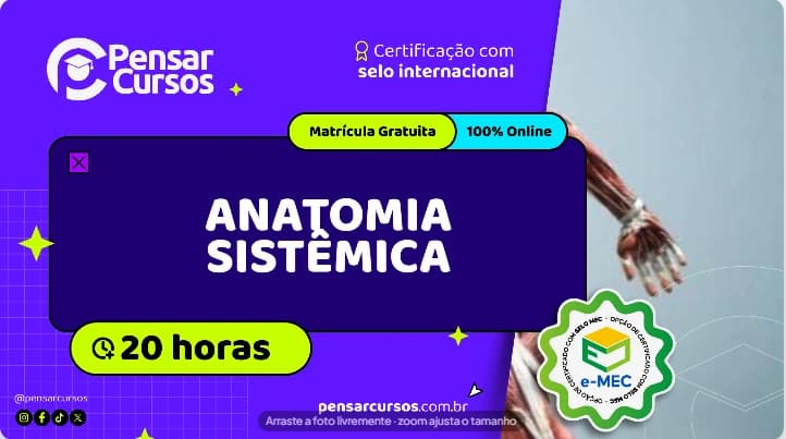 Anatomia Sistêmica