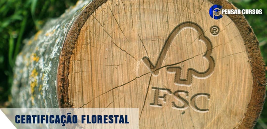 Certificação Florestal
