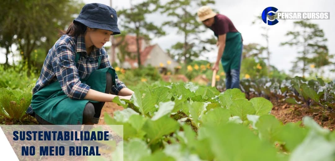 Sustentabilidade no Meio Rural
