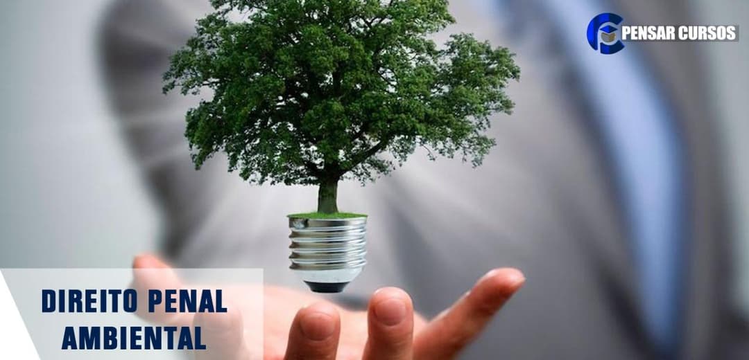 Direito Penal Ambiental