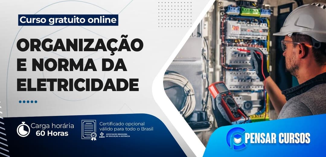 Organização e Norma da Eletricidade