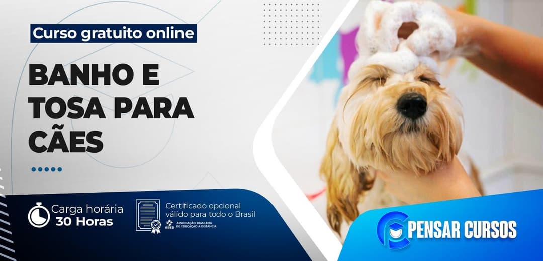 Banho e Tosa para Cães