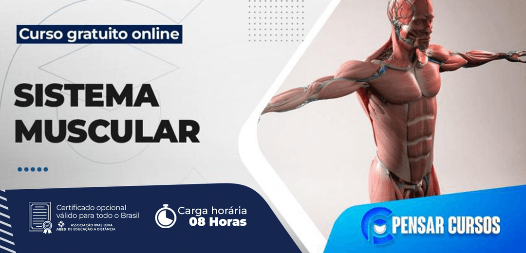 Minicurso Sistema Muscular