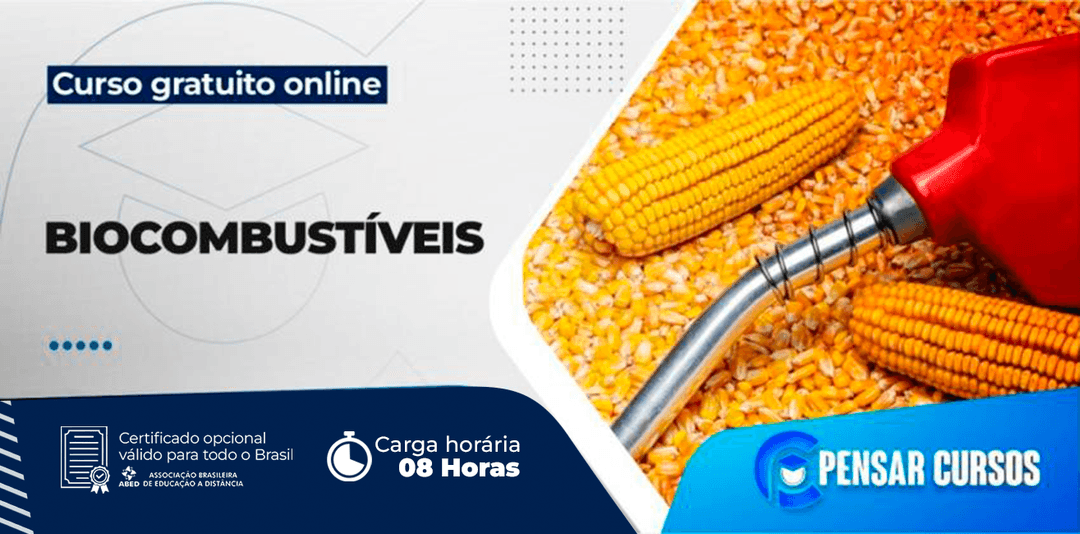 Minicurso Biocombustíveis