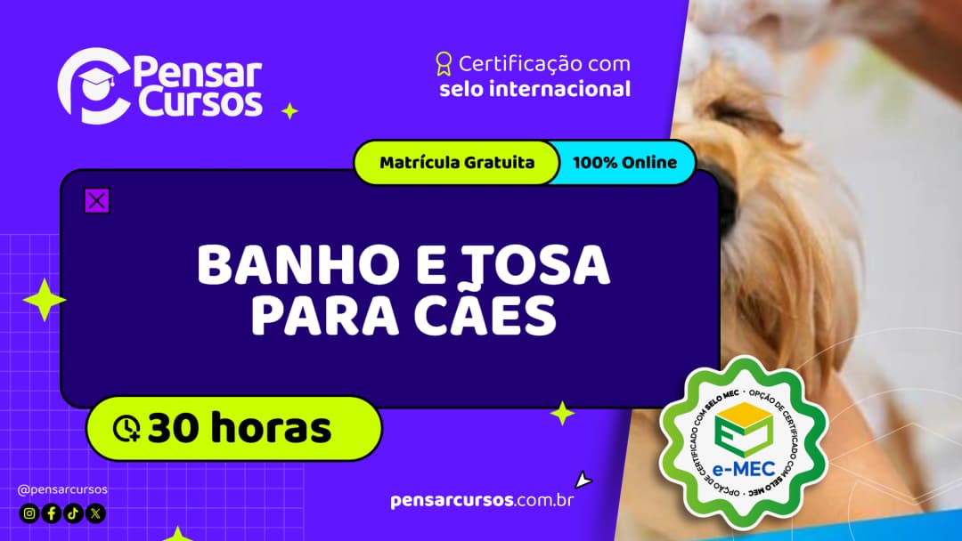 Banho e Tosa para Cães