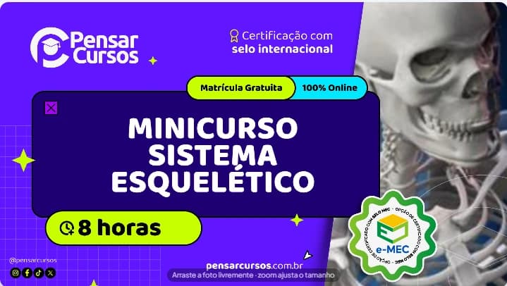 Minicurso Sistema Esquelético