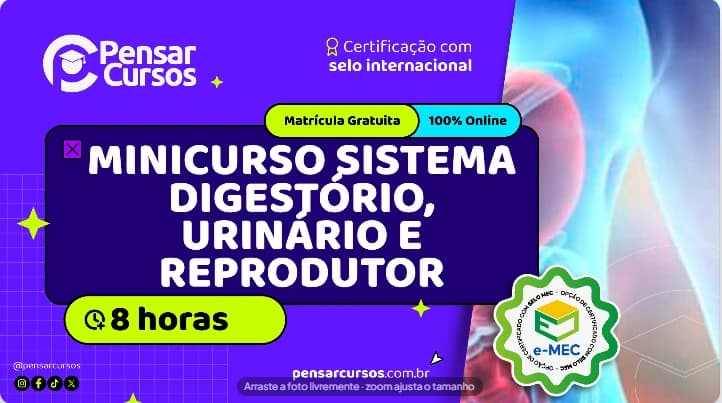 Minicurso Sistema Digestório, Urinário e Reprodutor