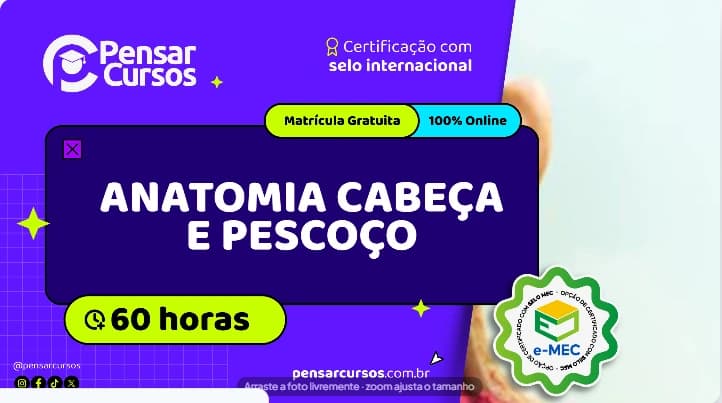 Anatomia Cabeça e Pescoço