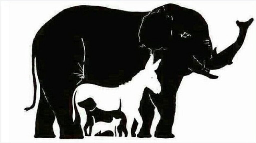 encontre os animais ocultos na imagem