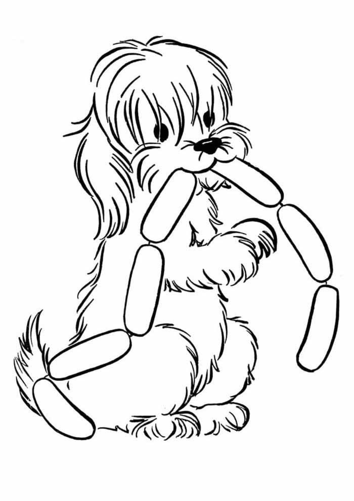 cachorro e a salsicha