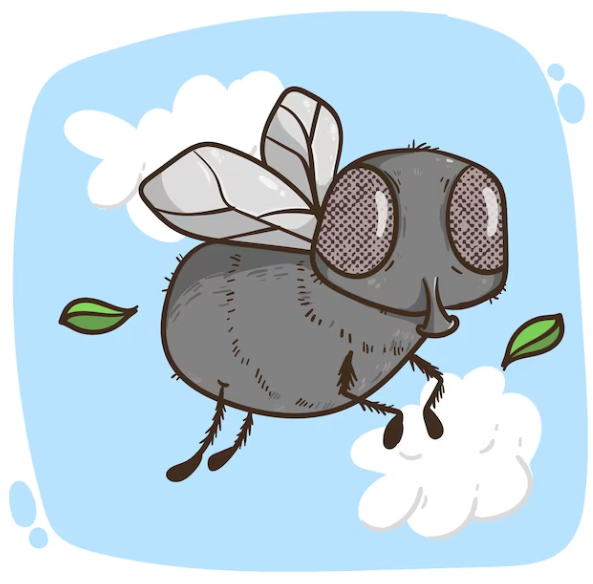 a mosca maratonista