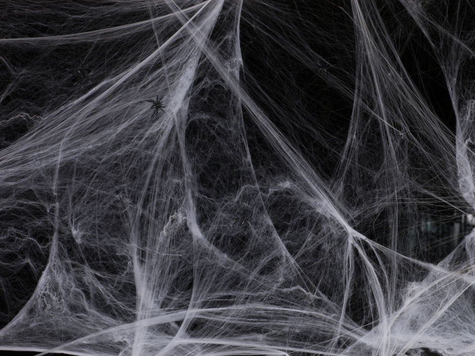 Como fazer teia de aranha com algodão