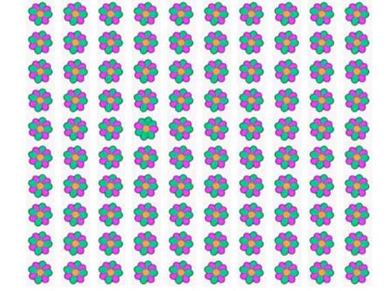 onde está a flor diferente