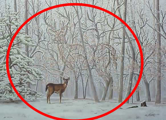 Desafio visual: encontre o cervo escondido em 9 segundos