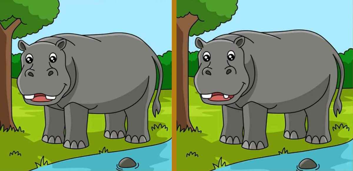 Ache as 3 diferenças na imagem do hipopótamo em 10 segundos.