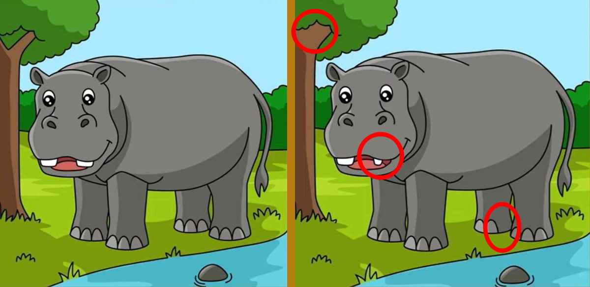 Ache as 3 diferenças na imagem do hipopótamo em 10 segundos