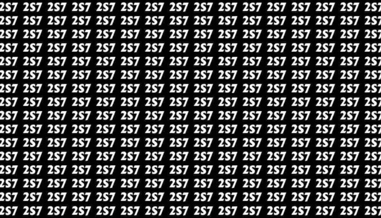 Teste de ilusão de ótica: Apenas 3% das pessoas consegue encontrar o número 257 na imagem em 10 segundos