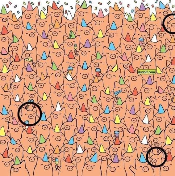 Teste visual: Encontre 3 porcos sem chapéu de festa em menos de 10 segundos e prove que está atento