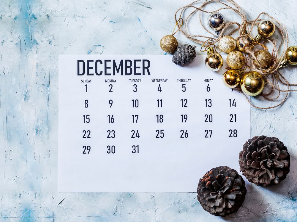 Bolsa Família será pago antes do Natal? Confira as datas deste mês!