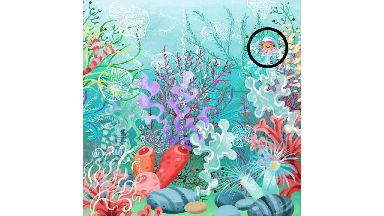 água-viva escondida