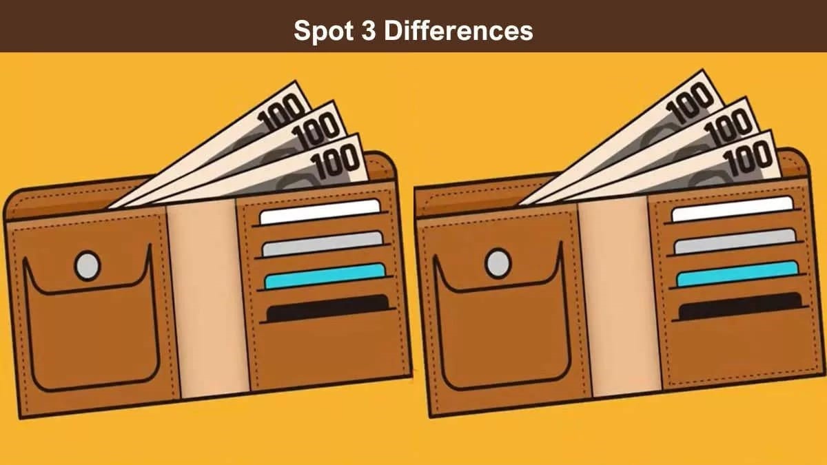 Treine seu cérebro: Encontre 3 diferenças entre as duas carteiras na imagem