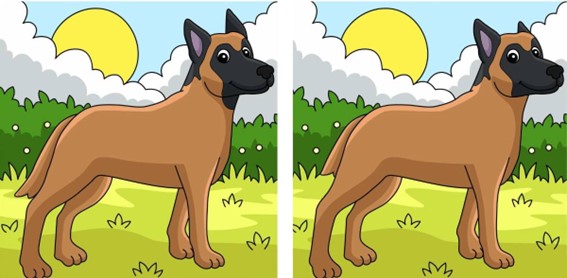 Teste de agilidade visual: Encontre 3 diferenças entre os cachorros na imagem em 10 segundos