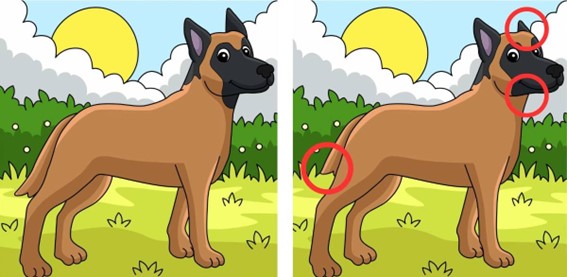 Teste de agilidade visual: Encontre 3 diferenças entre os cachorros na imagem em 10 segundos