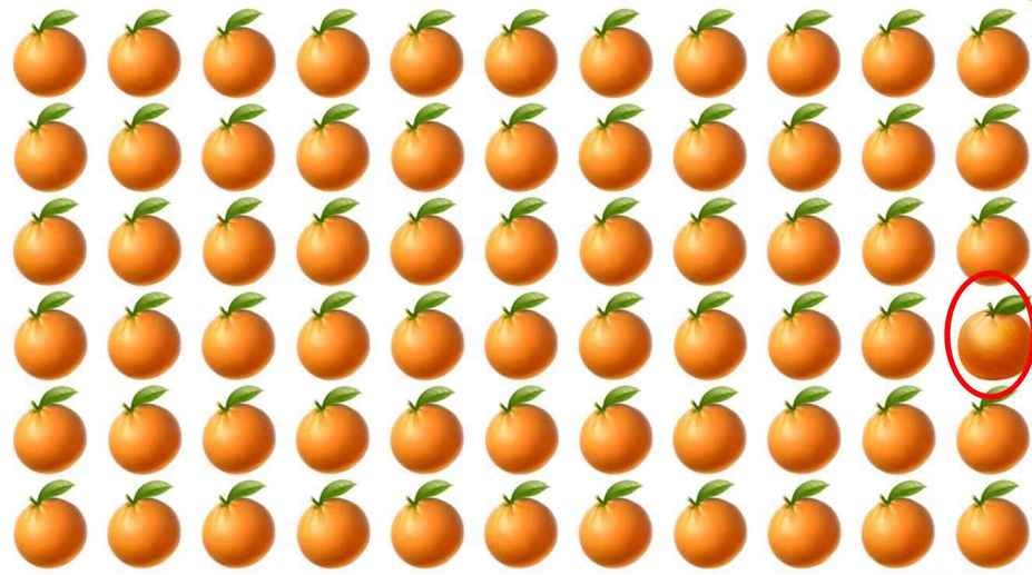 Teste de aptidão visual: encontra a única laranja diferente na imagem em menos de 10 segundos