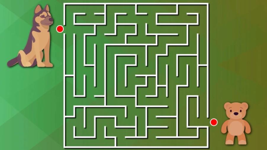 guiar o cão pelo labirinto