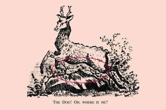 Ginástica para o cérebro: Encontre o cachorro escondido na imagem em 20 segundos