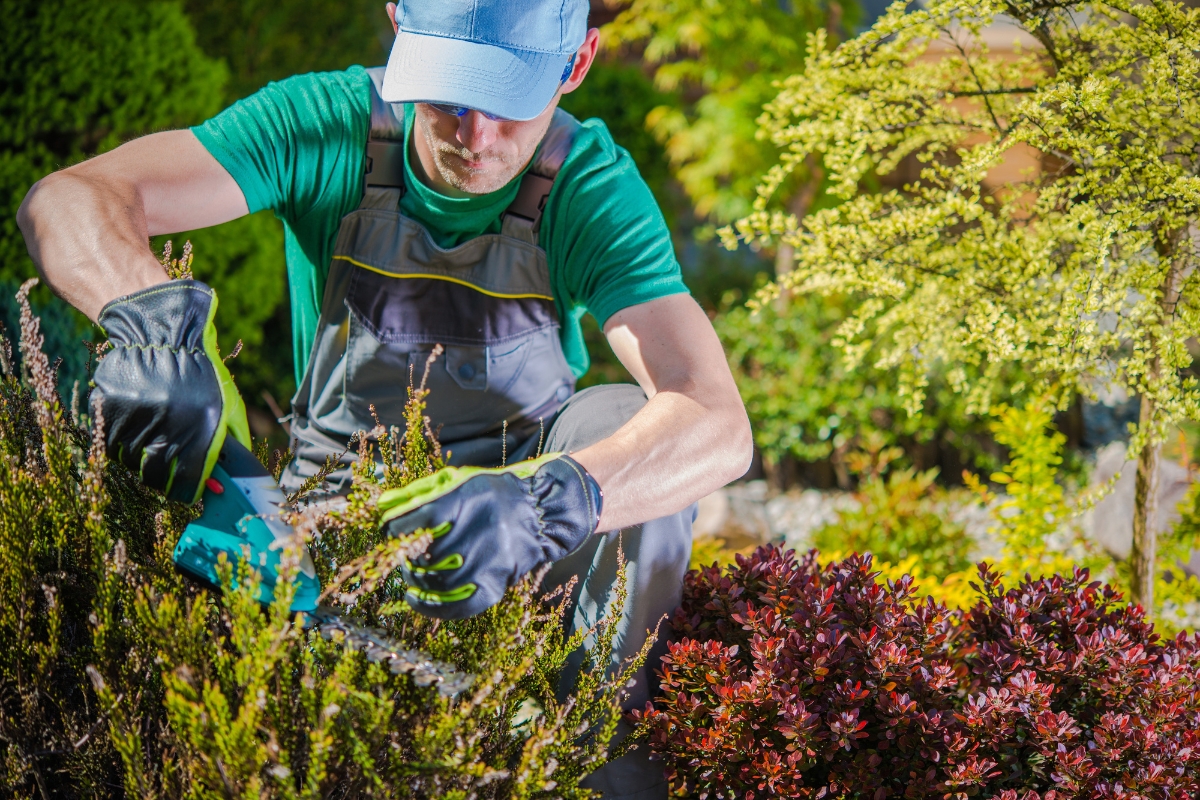 Inscrições gratuitas para o Curso Municipal de Jardinagem