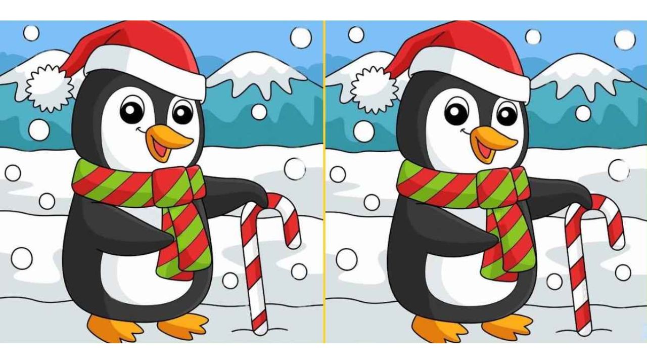 imagens do pinguim