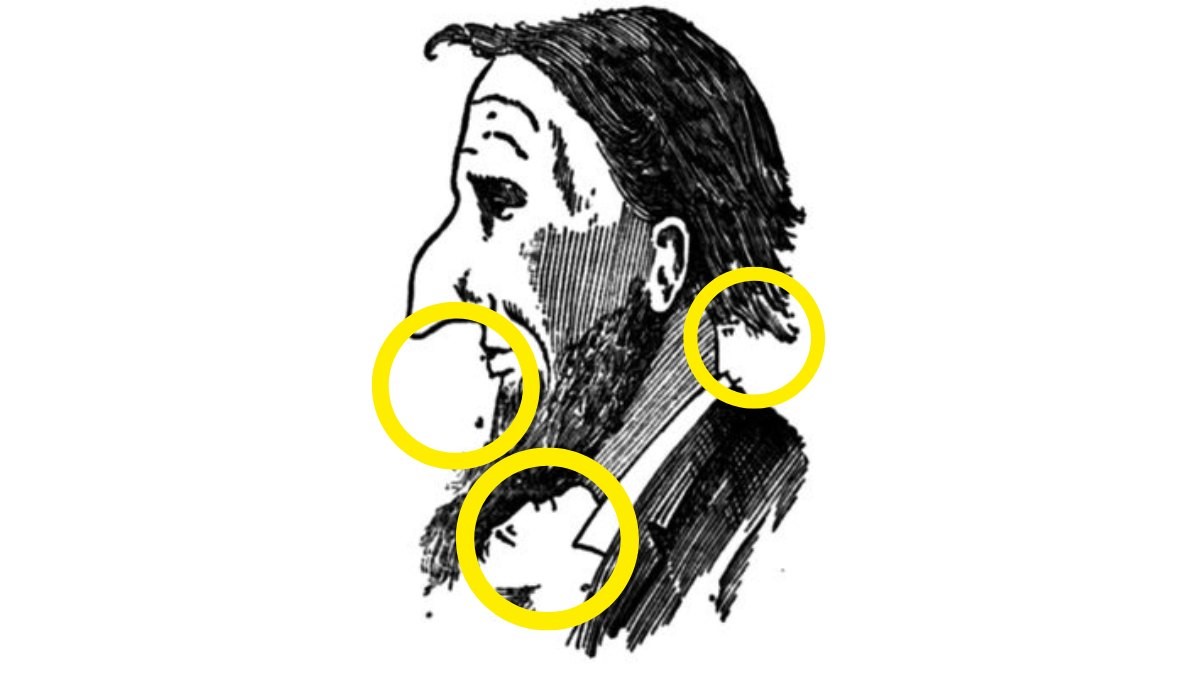 Encontre 3 faces femininas e resolva essa ilusão de ótica ambígua em menos de 10 segundos