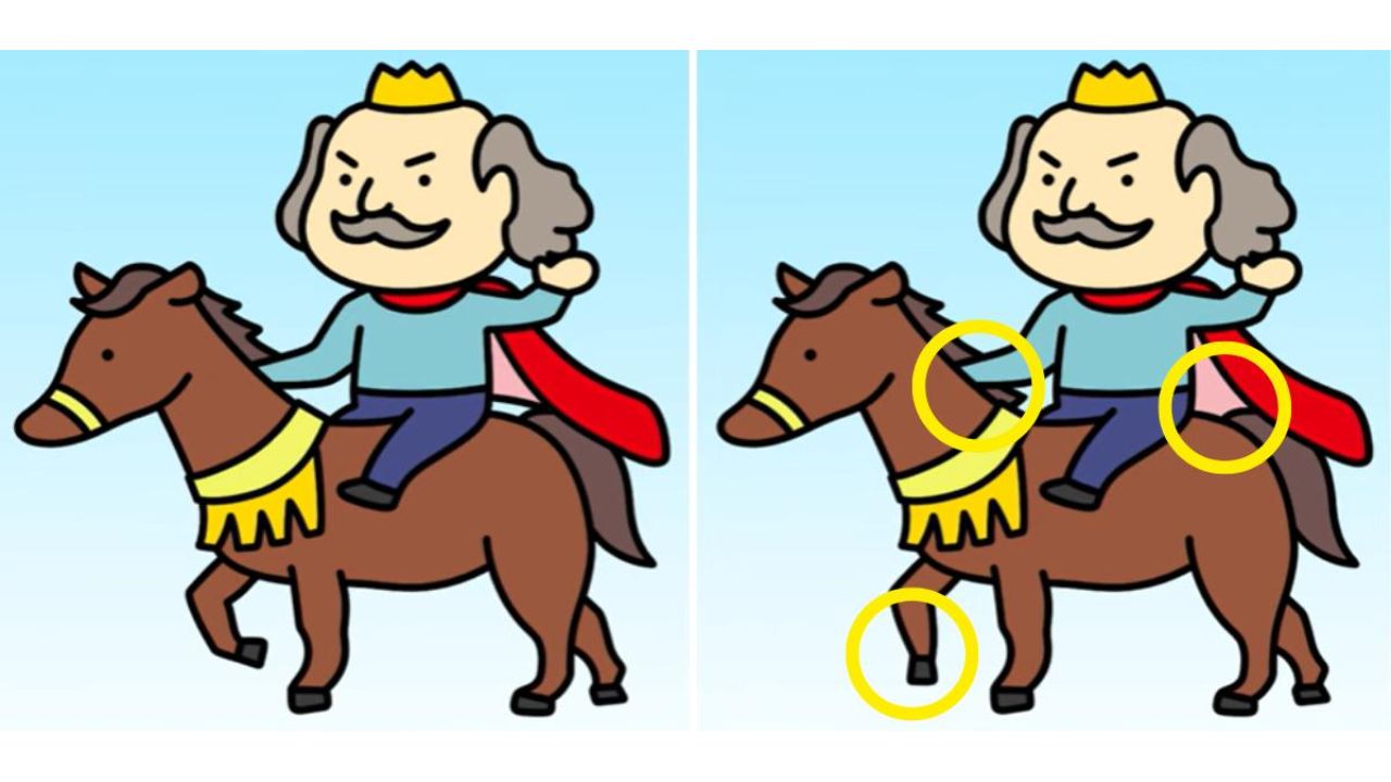 rei no cavalo