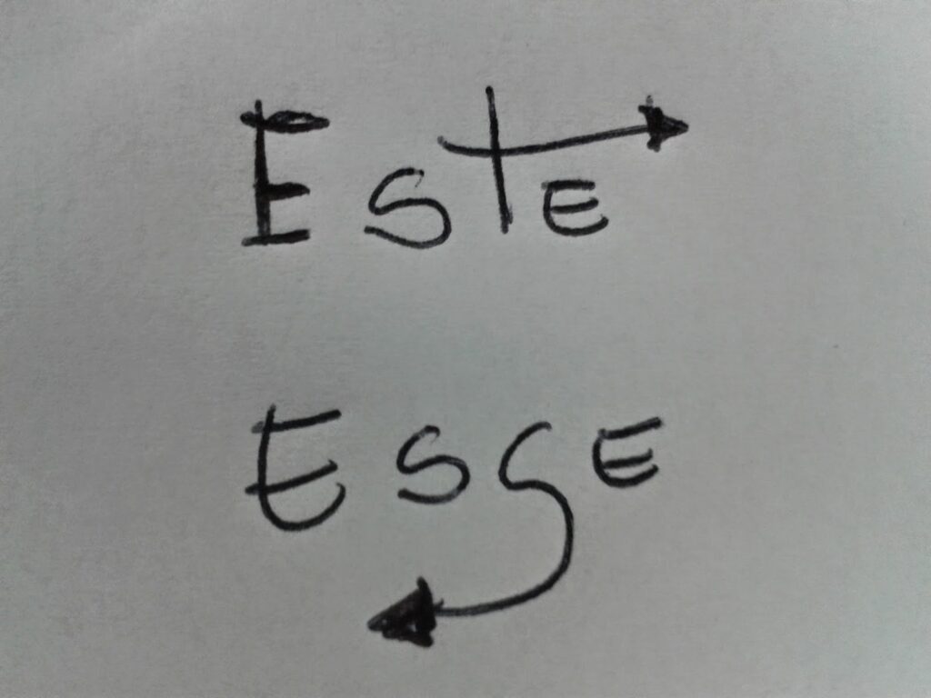 "Esse" ou "Este": aprenda a usar corretamente!