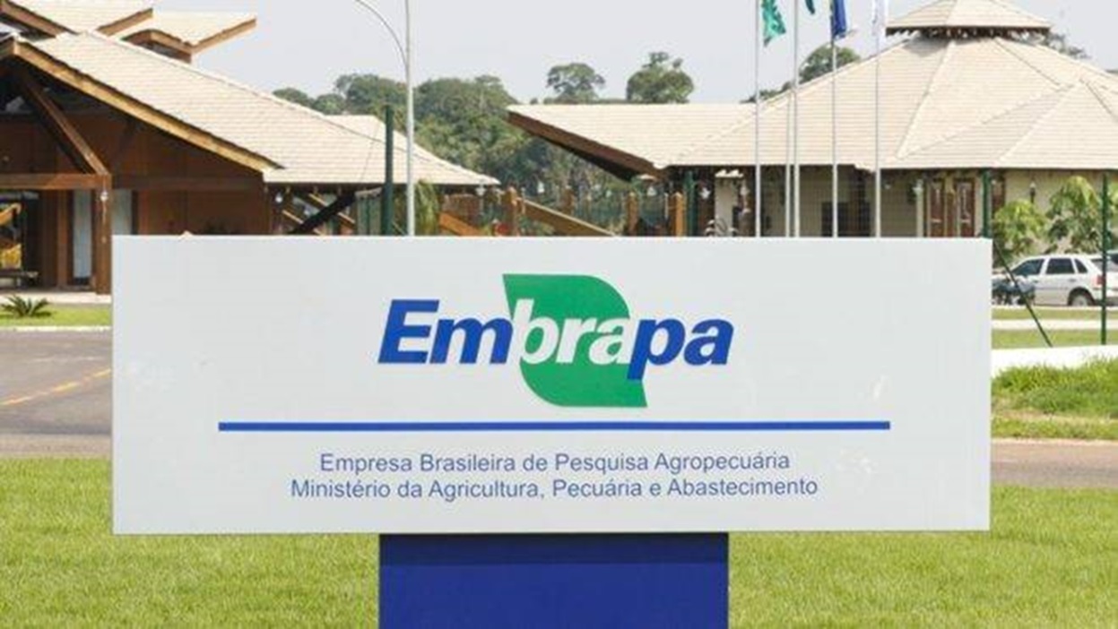 Após 15 anos, presidente confirma novo concurso da Embrapa