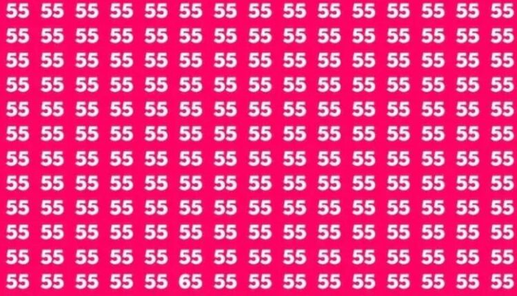 Encontre o número 65 em meio aos números 55.