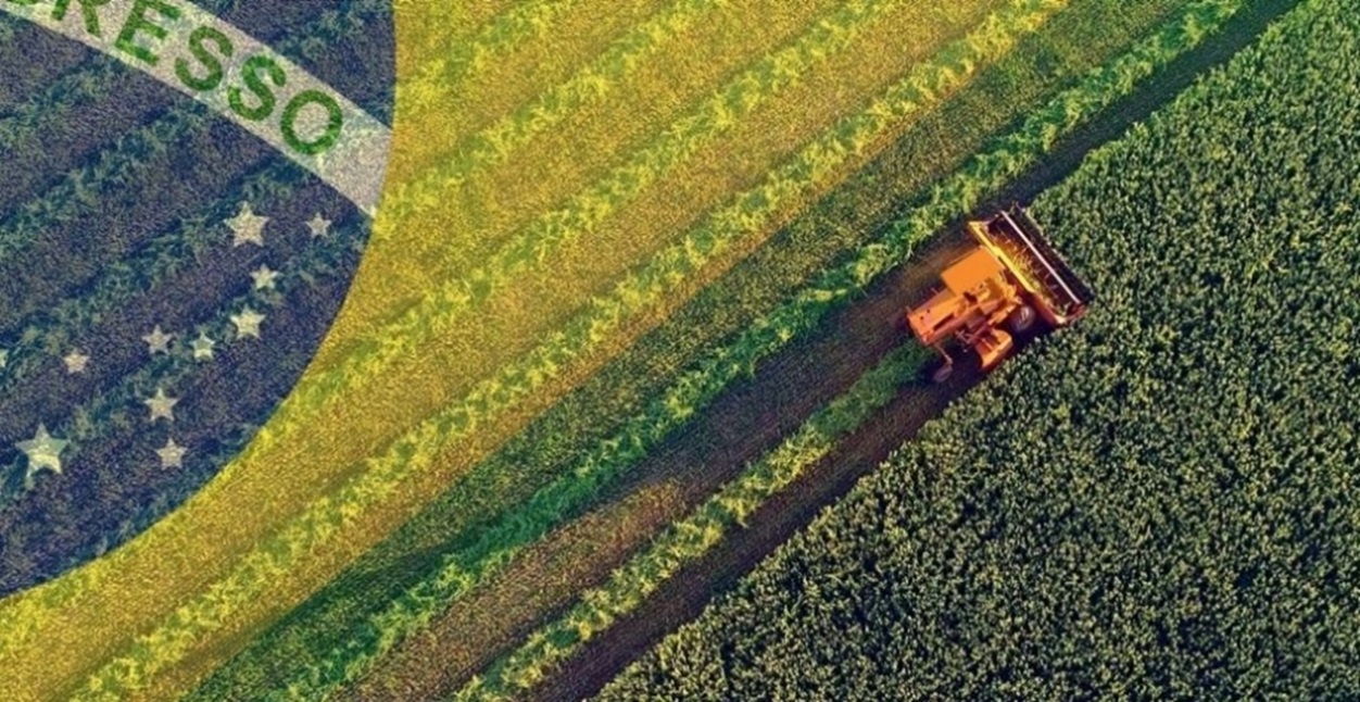 Conheça as profissões que estão em alta no agronegócio