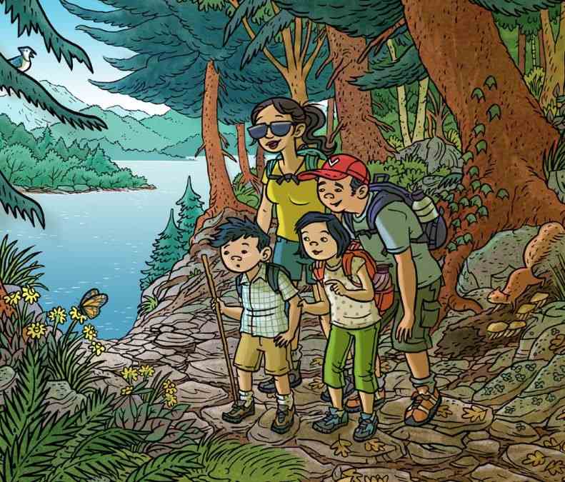 Encontre a libélula neste desafio.