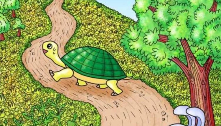 Resposta de onde está a agulha na imagem.