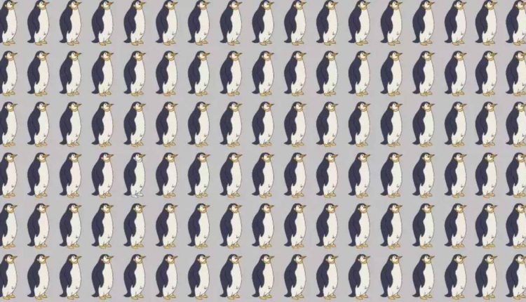 Encontre o pinguim diferente na imagem.