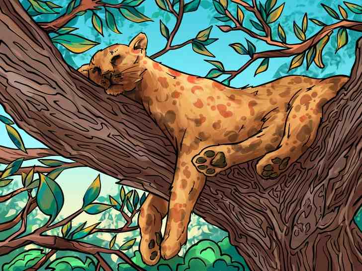 Encontre os 4 objetos na imagem do leopardo.
