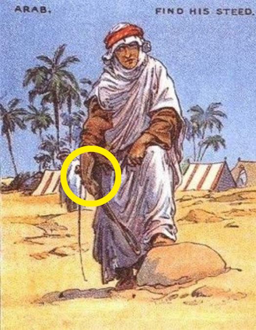 Resposta de onde esta o cavalo perdido no deserto.