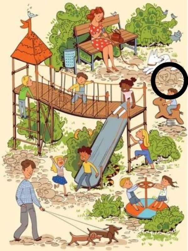 Resposta de onde está o leão escondido no parque.