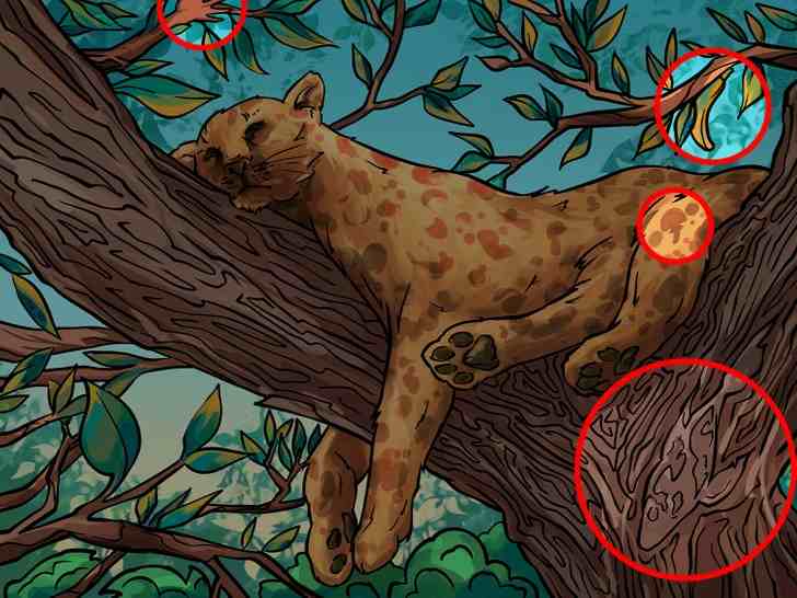 Resposta de onde estão os 4 objetos na imagem do leopardo.