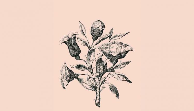 Imagem: Pinterest/Reprodução